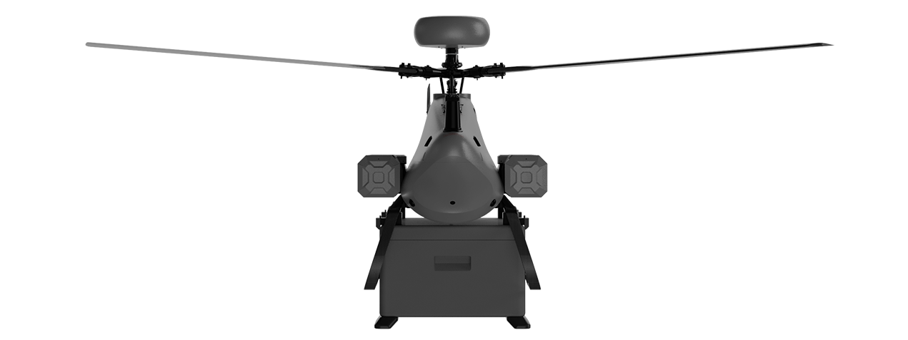 Especificación de la ballena gris G1